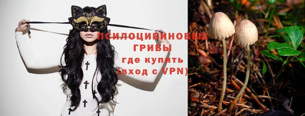 гидропоника Алексин