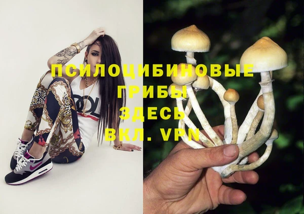 прущий лед Алзамай