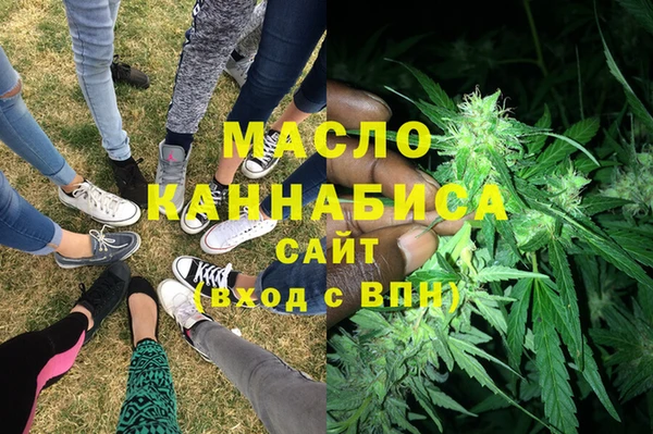 индика Переславль-Залесский