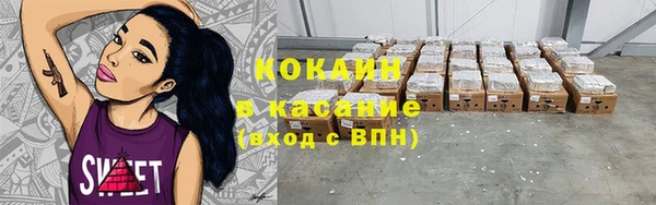 прущий лед Алзамай
