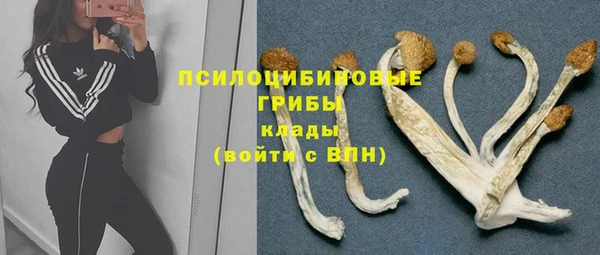 гидропоника Алексин
