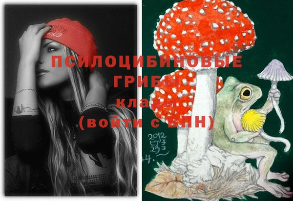 метамфетамин Алексеевка