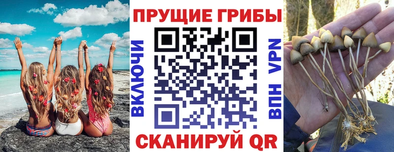Галлюциногенные грибы Cubensis  shop официальный сайт  Константиновск  цены  